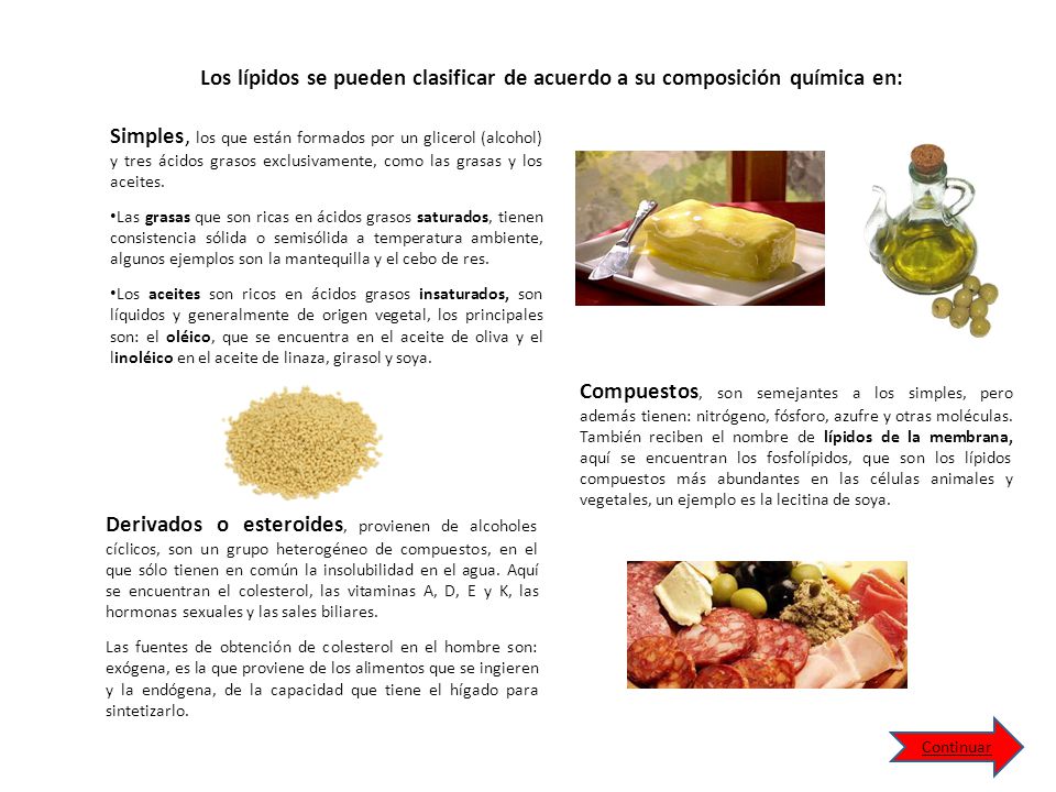 que alimentos tienen lipidos